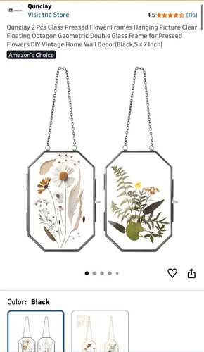 2pcs pressed flower frame - 2pcs,
